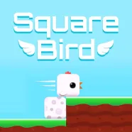Square Bird