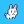 Poor Bunny